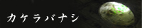 k_bunner_2.jpg